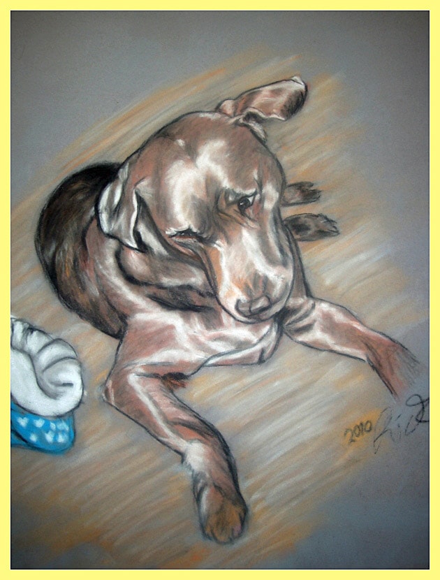 Schoko - Hundeportrait von Petra Rick 2010 - Pastell